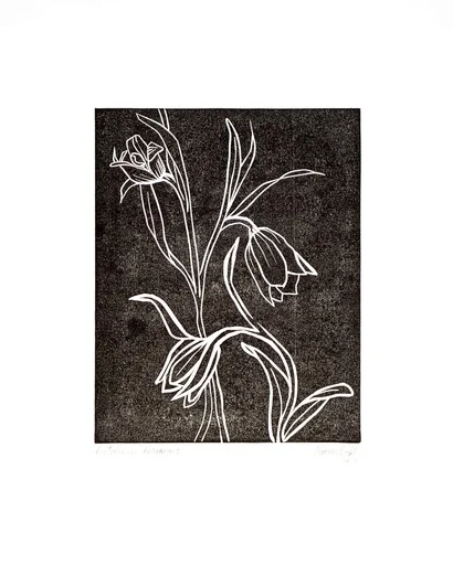 White botanical lines depicting fritillaria flowers against a dark background.